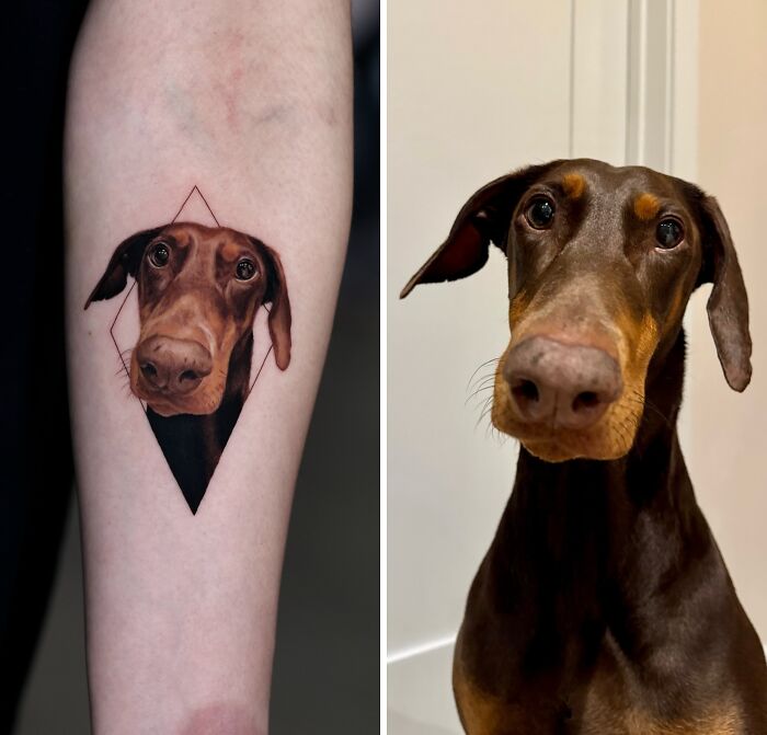 Realistic pet tattoo of a Doberman dog on forearm matching the actual Doberman with detailed lifelike features.