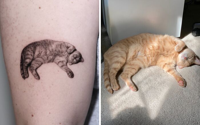 Realistic pet tattoo of a sleeping cat inked on skin, shown alongside a similar real orange cat resting on carpet.