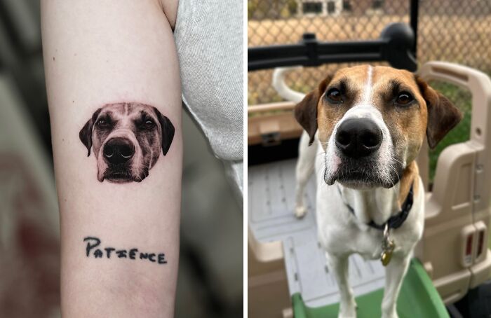 Realistic pet tattoo of a dog's face on an arm next to the actual dog, showcasing astonishingly detailed pet tattoos.