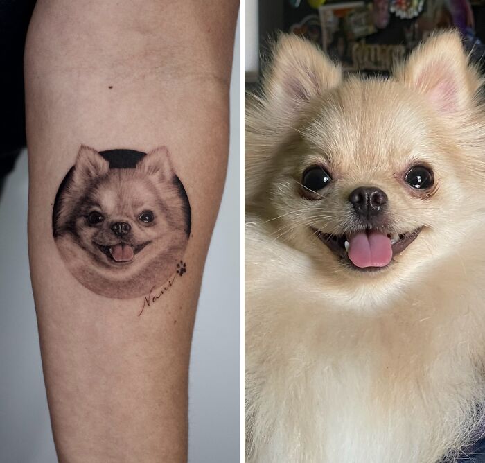 Realistic pet tattoo of a smiling fluffy dog on forearm, showcasing astonishing pet tattoo art by Yeono.