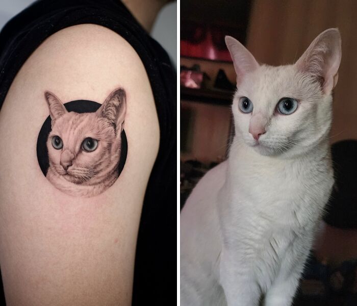 Realistic pet tattoo of a white cat with blue eyes on arm, showcasing astonishing detail and lifelike artistry by Yeono