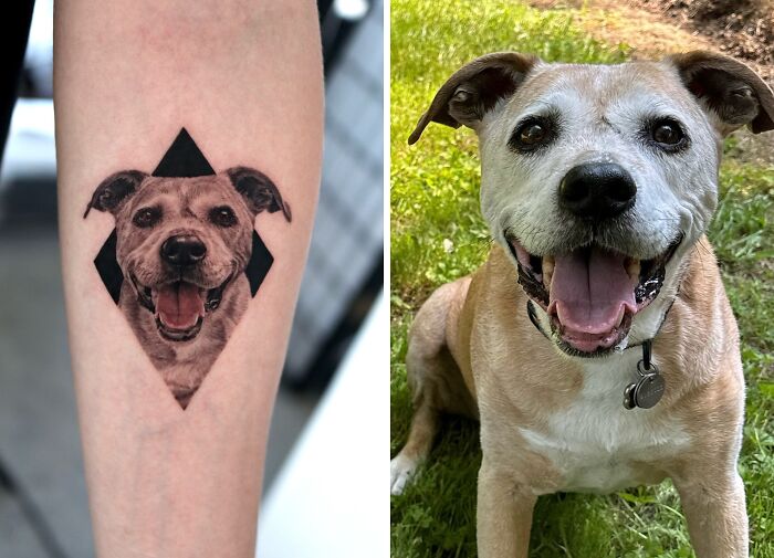 Realistic pet tattoo of a smiling dog on a forearm next to the photo of the actual dog on grass.