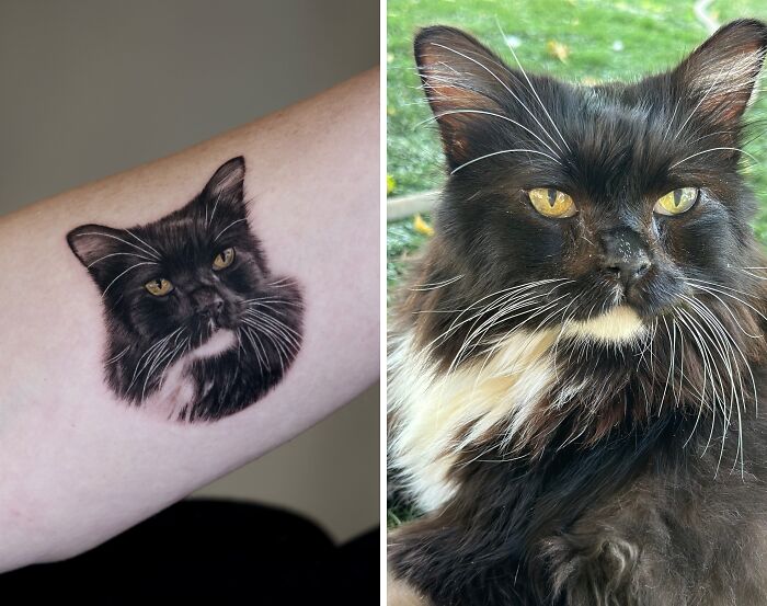 Realistic pet tattoo of a black and white cat with yellow eyes, showcasing detailed fur and lifelike features by Yeono.