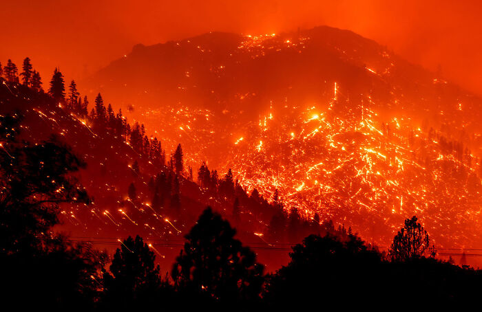 Wildfire raging on a forested mountain at night, showing the universe had completely different plans with glowing embers and smoke.
