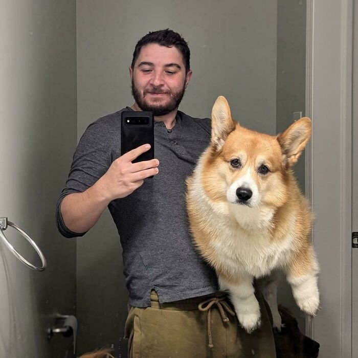 Man holding a giant corgi dog for a selfie, showcasing one of the largest animals so giant it’s hard to believe they are real.