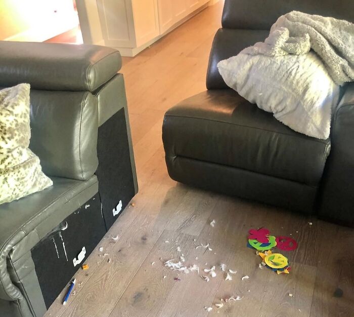 Living room with leather chairs and scattered feathers, illustrating a messy scene linked to celebrity entitled behavior.