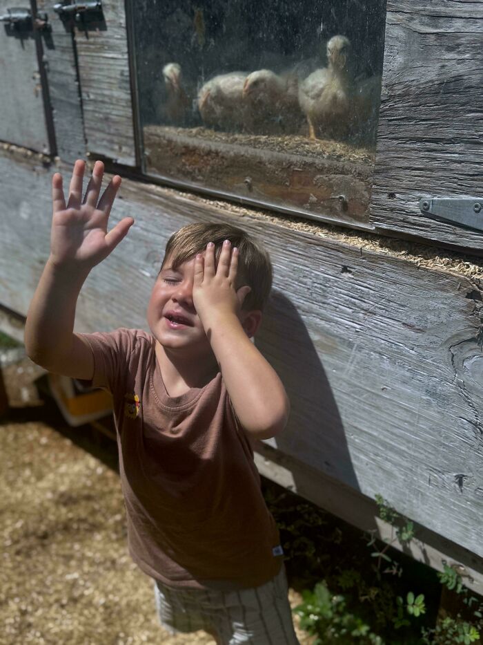 Young boy shielding his eyes from the sun near a wooden structure with chicks behind a glass in accidental Renaissance photo.