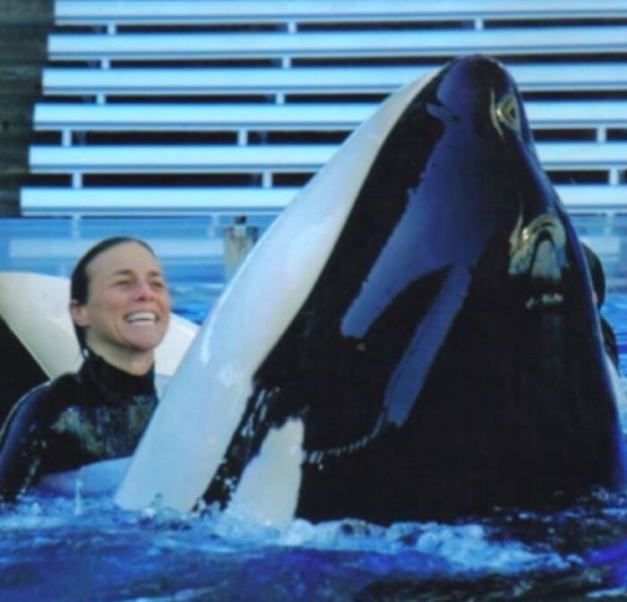 Trainer smiling while hugging a large orca whale in a pool, showcasing an unsettling image from morbid knowledge.
