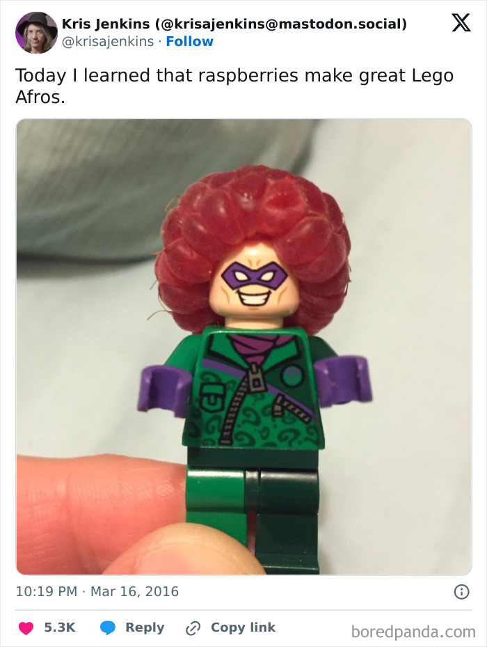 Lego figure with a raspberry used as an afro, showcasing a crafty and ingenious idea from an IG account.