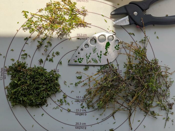 Herb s******r and kitchen scissors placed on a cutting mat with fresh and stripped herbs, showcasing smart kitchen tools.