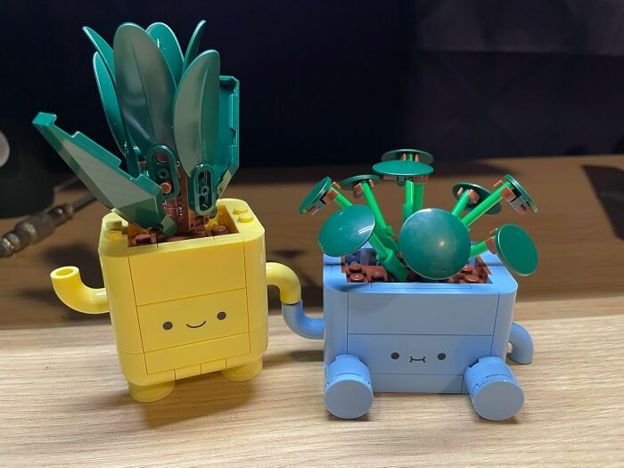 Two playful and functional small plant pots with cute faces, designed for fun and functional home decor.