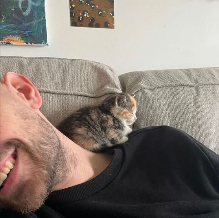 Man smiling with an adorable kitten resting on his shoulder on a cozy couch in a wholesome moment.