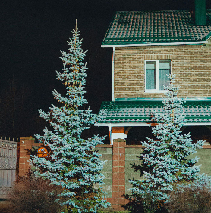 Night view of a house and trees with a security camera capturing the outdoor scene for home surveillance purposes.