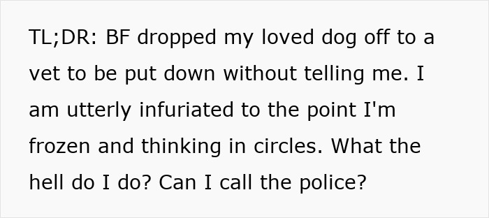Text post about a boyfriend dragged online for trying to stealthily euthanize girlfriend&rsquo;s dog without her knowledge.