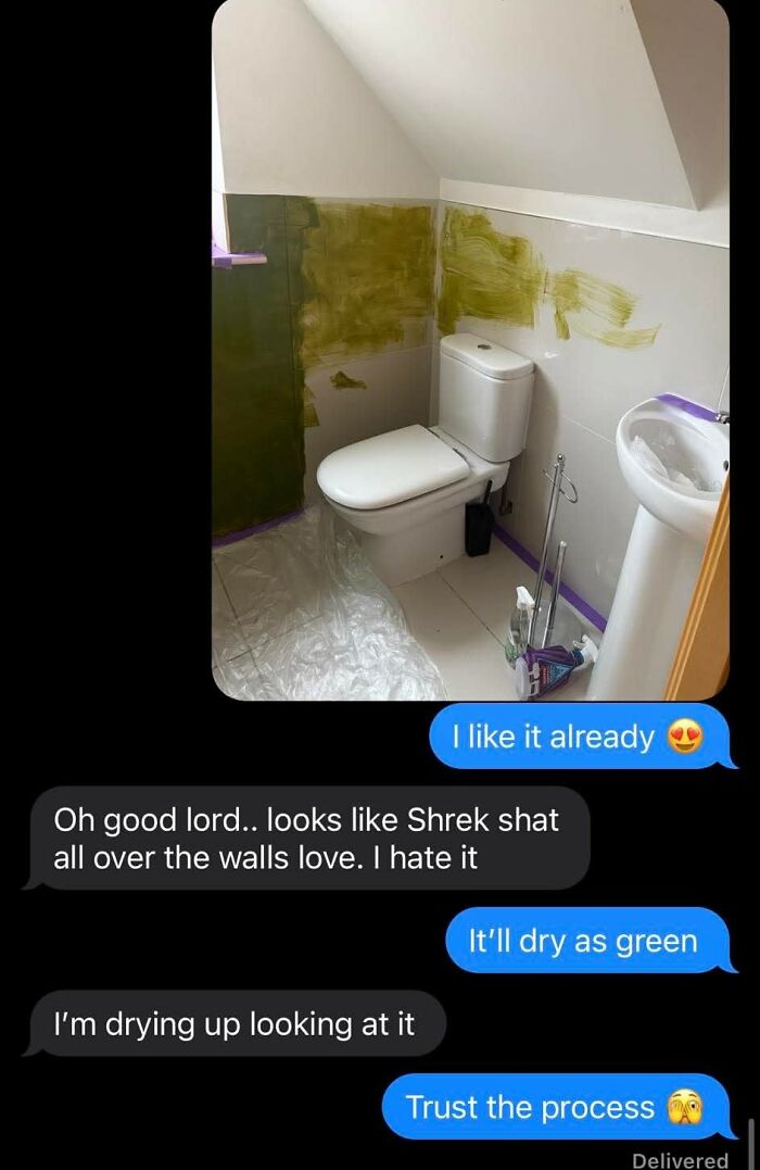 Bathroom with poorly painted green walls and white toilet and sink, showcasing craft shaming of a DIY paint project.
