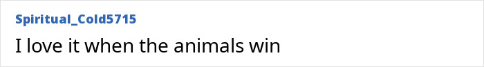 Comment text on a white background with username Spiritual_Cold5715 stating love for when animals win, relating to millionaire trophy hunter gored by buffalo.