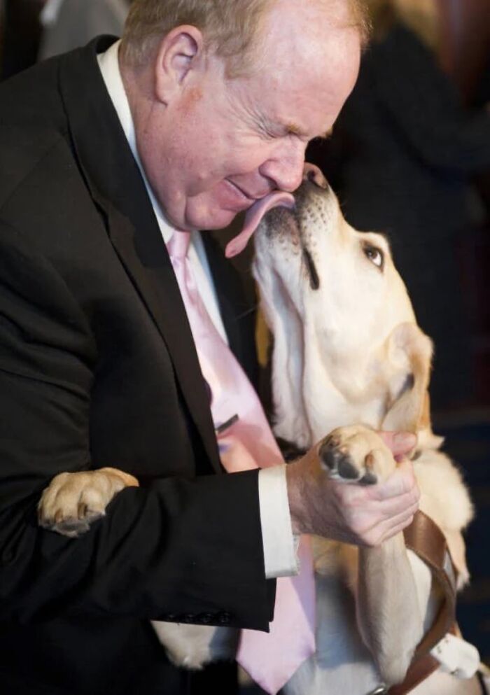 Man in a suit being licked on the face by a guide dog, capturing a tender moment from morbid knowledge images.