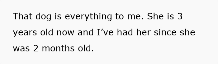 Owner expressing deep bond with her 3-year-old Husky, highlighting the strong connection before a theft incident. - 4