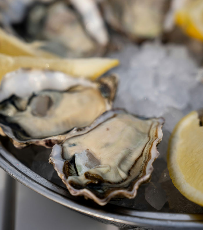 Close-up of oysters on ice with lemon wedges, illustrating unhinged wedding spends and extravagant food choices. - 33