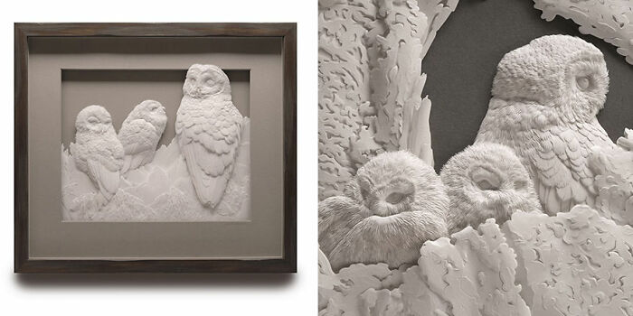 Paper sculpture featuring realistically detailed owls in a framed wildlife art piece made from simple paper.