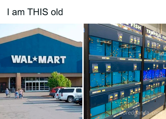 Old Walmart store exterior and rows of tropical fish tanks inside, evoking 90s kids nostalgia memories.