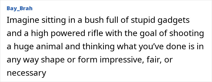 Text post criticizing trophy hunting with high-powered rifles, highlighting the irony of a millionaire trophy hunter gored by a buffalo on safari.