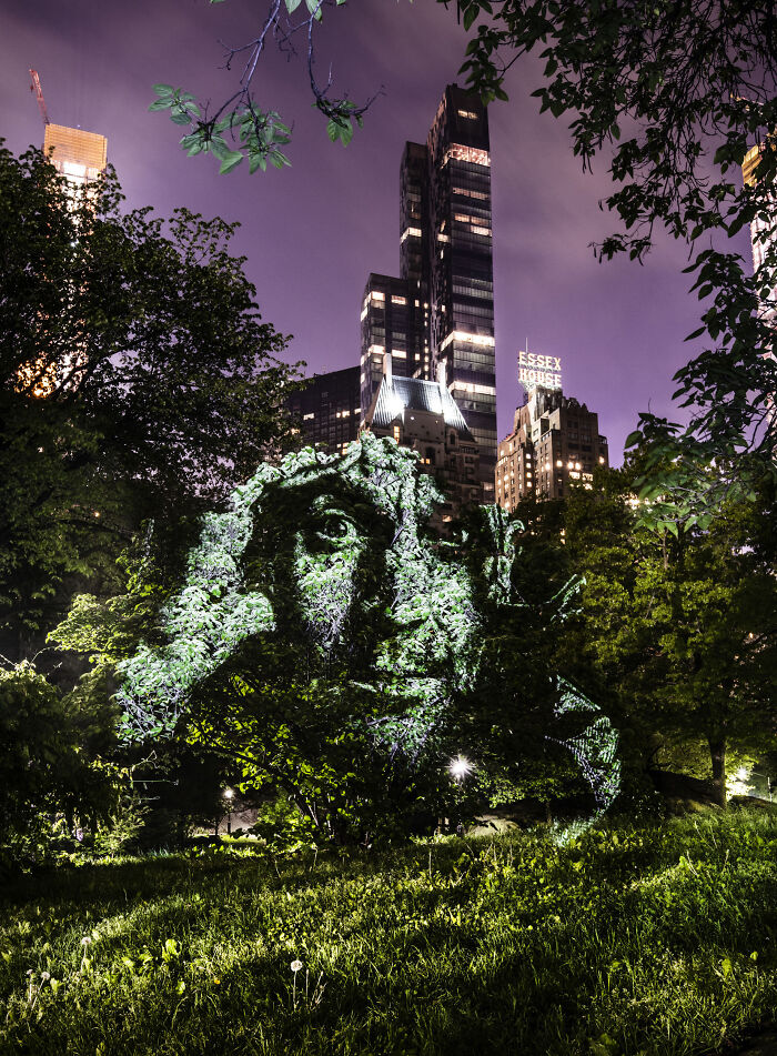 Night street art installation of a large illuminated face sculpture blending with trees and city buildings in the background.
