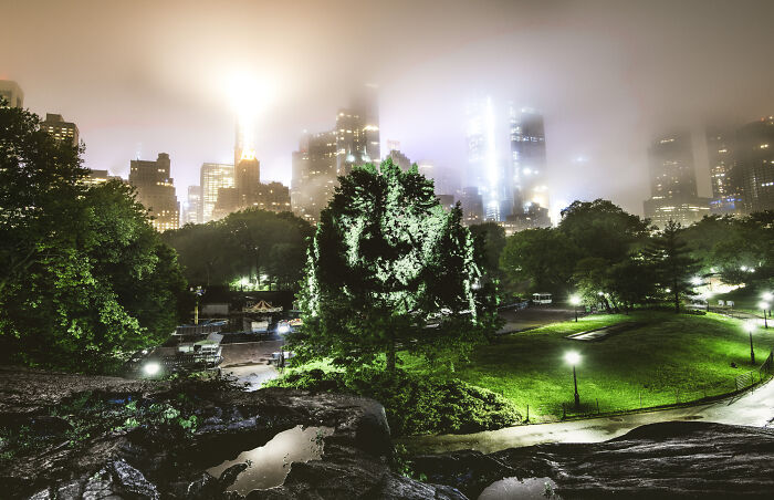 Foggy city skyline glowing at night above a park with lush greenery, illustrating urban street art photography scenes.