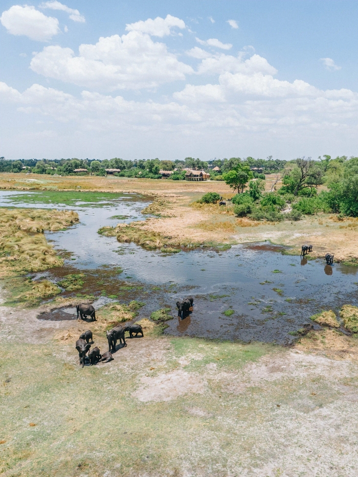 Aerial view of the Okavango Delta with elephants gathered near water and lush greenery under a cloudy sky.