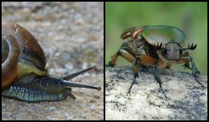 Andrew Ward's Camera Captures What We Forget To See