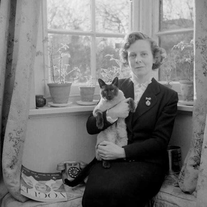 Vintage cat photo of a woman sitting by a window holding a Siamese cat in a classic black and white setting.