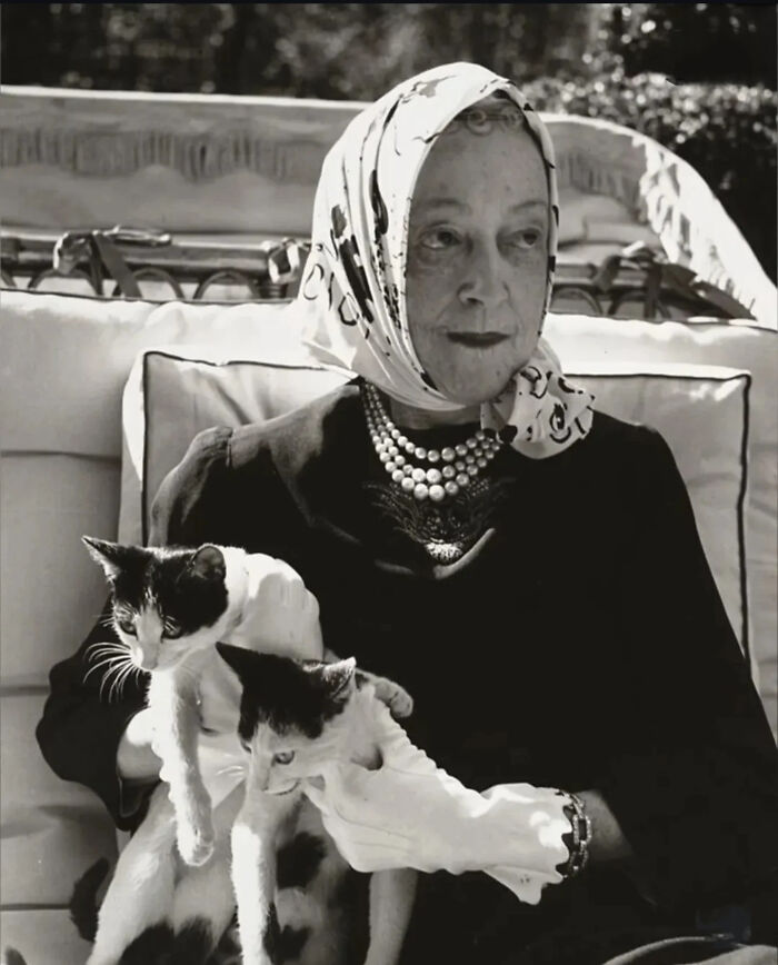 Vintage cat photo of a woman in a headscarf holding two cats, showcasing classic feline charm and historical moments.