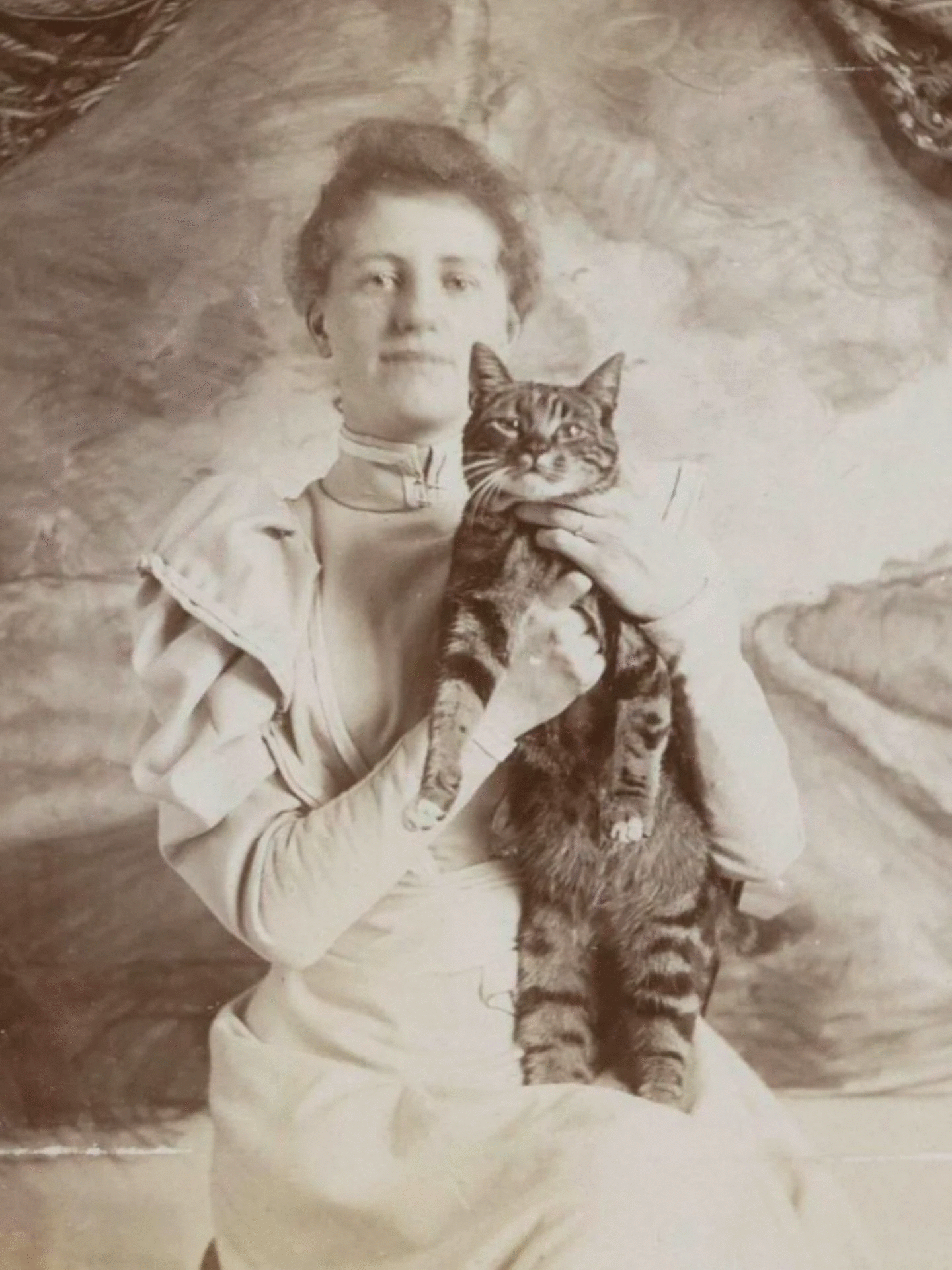 Vintage photo of a woman in period clothing holding a tabby cat, showcasing classic vintage cat photos before the internet era.
