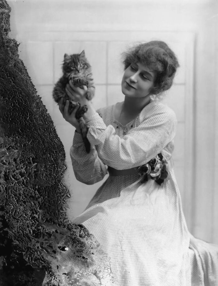 Vintage cat photo shows a woman in early 1900s dress holding a fluffy kitten with a textured backdrop.