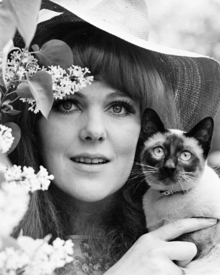 Black and white vintage cat photo of a woman in a hat holding a Siamese cat surrounded by flowers from before the internet era.