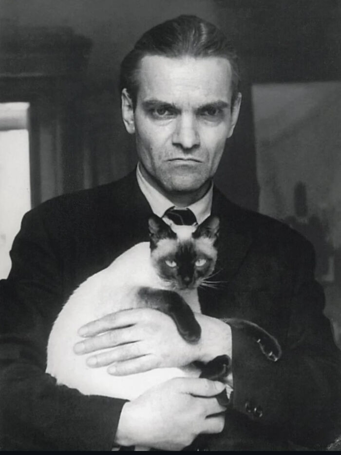 Black and white vintage photo of a man holding a Siamese cat, classic vintage cat photo from before the internet era