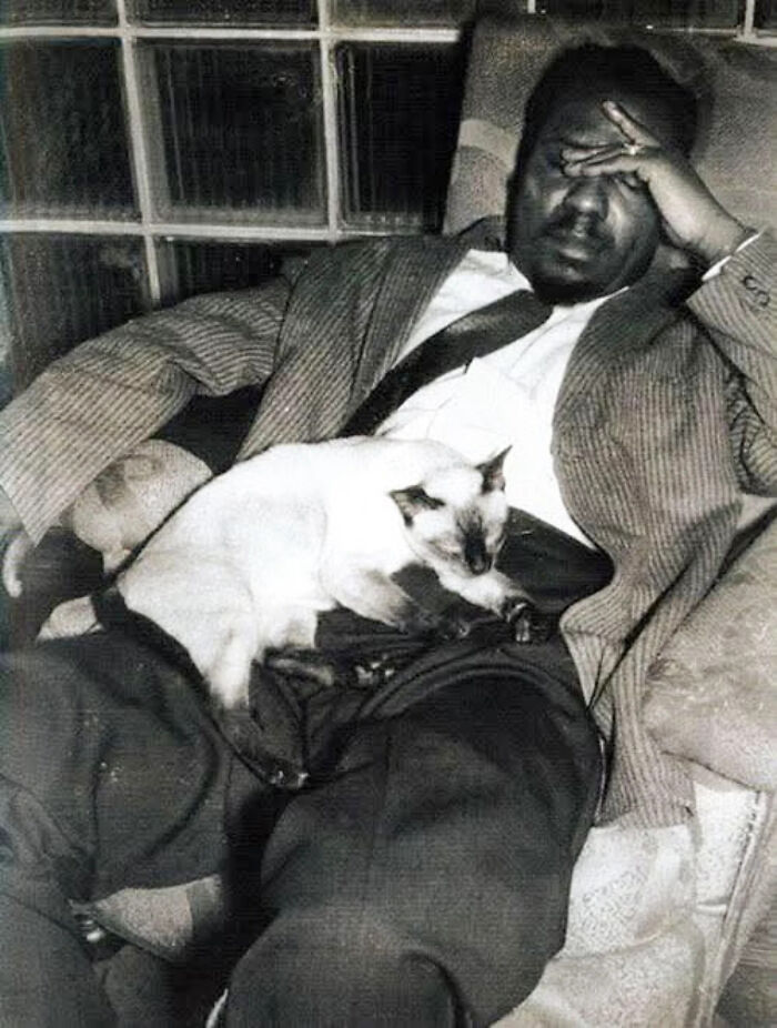 Vintage cat photo showing a man resting with a cat lying comfortably on his lap in a cozy setting.