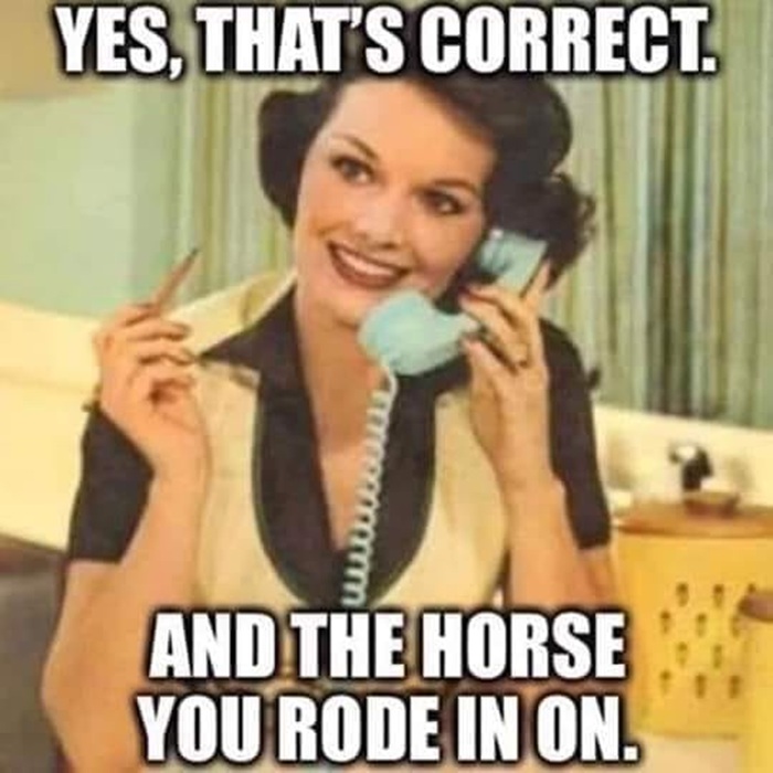 And The Horse You Rode In On