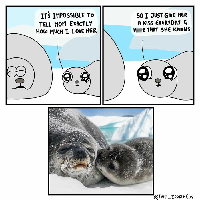 Seal comics featuring a cute seal pup expressing love with a kiss, paired with a real photo of two seals cuddling.