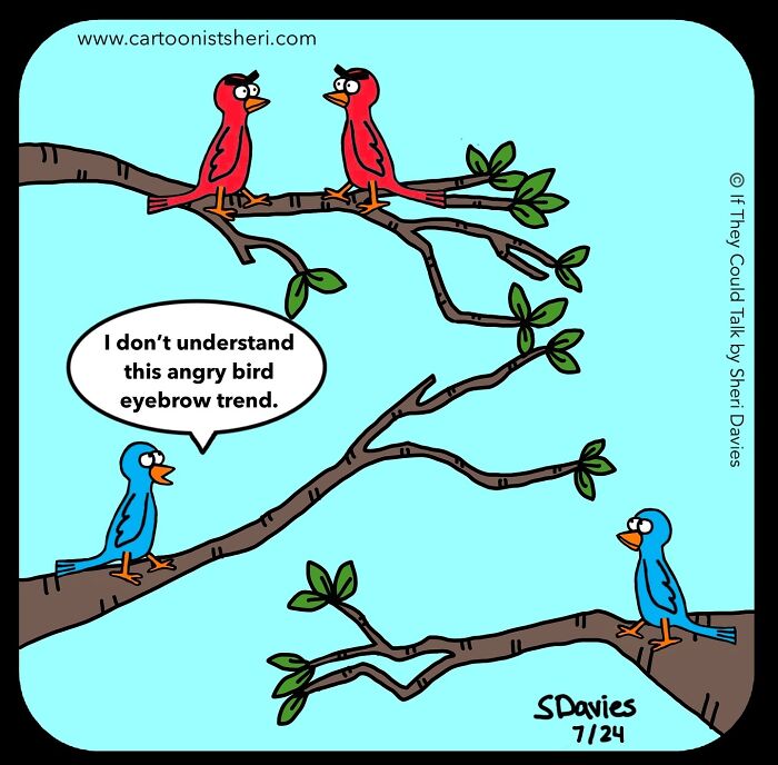 Cartoon of birds with angry eyebrows talking about a funny bird eyebrow trend in animal comics style.