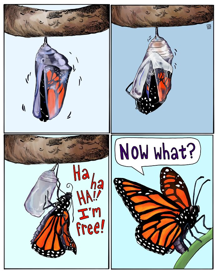 Comic panels of a butterfly emerging from a chrysalis, laughing and asking now what in a humorous animal comic style.