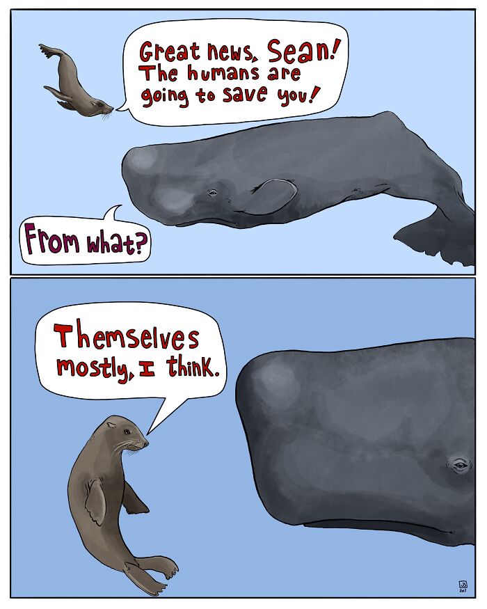 Animal comics featuring a whale and seal humorously discussing humans saving each other in the ocean.
