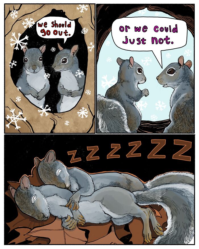 Two squirrels in a comic panel humorously decide to stay inside and sleep during snowy weather, animal comics style.