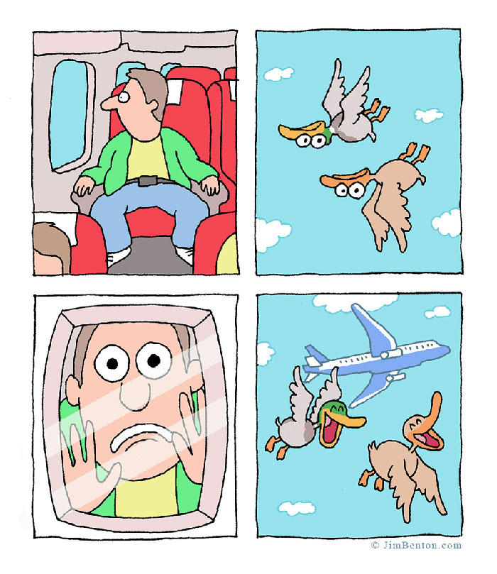 Cartoon showing a man on a plane and two ducks flying with goggles in a funny animal comic style.