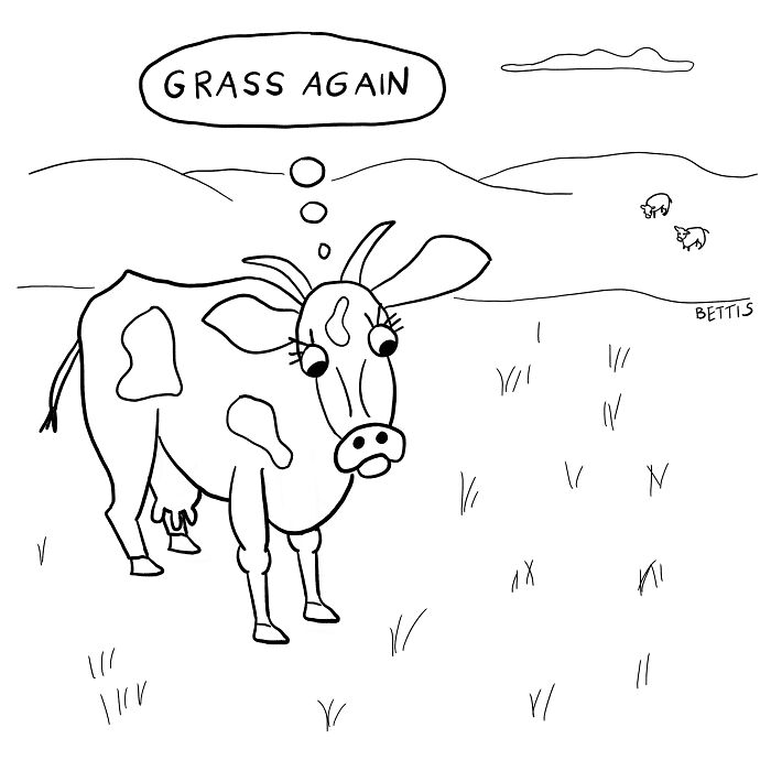 Cow standing in a field thinking about grass again, simple black and white animal comic with a humorous tone.
