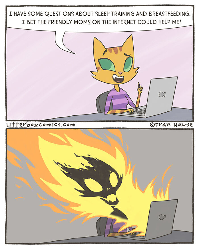 Cat animal comic showing a character asking a question online followed by a fiery reaction from the laptop.