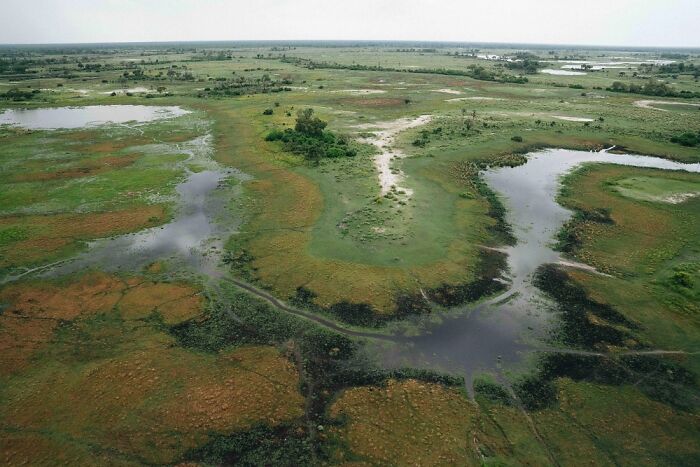 Aerial view of the Okavango Delta showcasing lush greenery, winding waterways, and natural wetlands in Botswana.