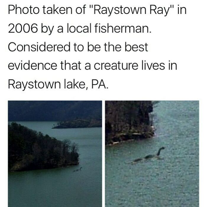 Photo of Raystown Ray creature in lake, considered creepy evidence from Raystown lake in creepy facts collection.