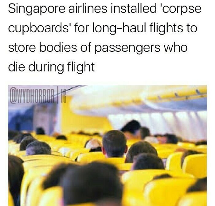 Interior of a Singapore Airlines airplane cabin with yellow seats, illustrating creepy facts about corpse cupboards on flights.