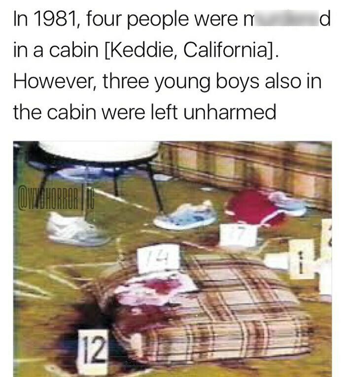 Crime scene photo showing a blood-stained pillow and evidence markers in a cabin for creepy facts and pics.